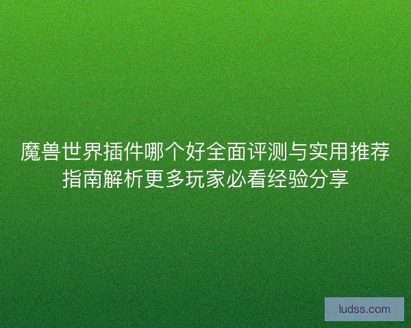 魔兽世界插件哪个好全面评测与实用推荐指南解析更多玩家必看经验分享