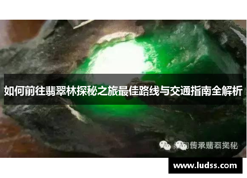 如何前往翡翠林探秘之旅最佳路线与交通指南全解析